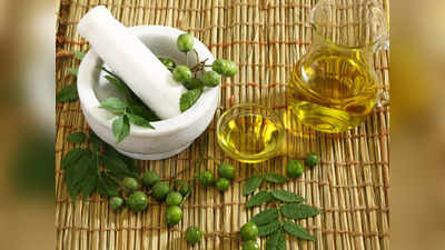 Neem Oil for Skin: వేప నూనె వల్ల అదిరిపోయే ప్రయోజనాలు.. నిగనిగలాడే చర్మంతో పాటు.. 