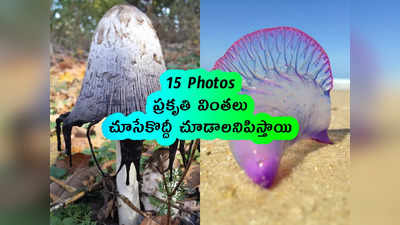 15 Pics: ప్రకృతి వింతలు.. చూసేకొద్దీ చూడాలనిపిస్తాయి 