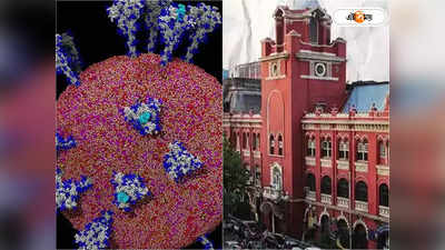 Poliovirus: ১০ বছর পর ফের শহরে পোলিও আতঙ্ক, বিপদের আঁচ আগেই টের পেয়েছিল পুরসভা?