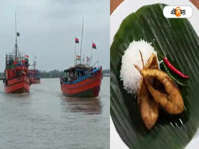 Hilsa Fishing: খুব তাড়াতাড়ি পাতে পড়বে ইলিশ!  সমুদ্রে পাড়ি মৎস্যজীবীদের