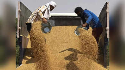 Wheat Export: UAE के जरिए भारत के गेंहू के निर्यात पर रोक, जानें खाड़ी देश ने क्यों किया ऐसा