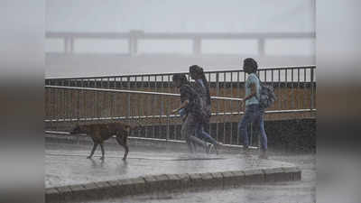 Monsoon Update : राज्यात दमदार पावसाला सुरुवात, मुंबईसह या भागांत वरुणराजा बरसला