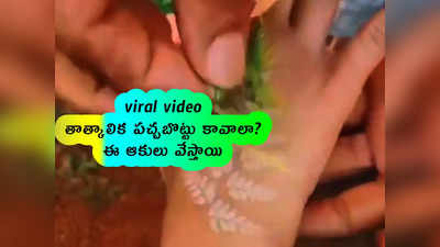 viral video: తాత్కాలిక పచ్చబొట్టు కావాలా... ఈ ఆకులు వేస్తాయి