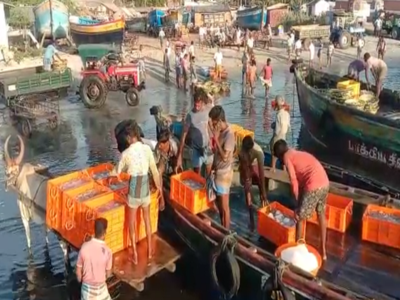 மீன்களுக்கு அடிப்படை விலை நிர்ணயம்: அரசுக்கு கோரிக்கை வைத்த ராமேஸ்வரம் மீனவர்கள்!