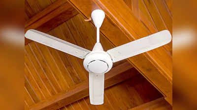 Best Fan for Home : क्विक स्टार्ट मोटर वाले हैं ये Ceiling Fan, सालों साल नये पंखे जैसी देंगे तेज हवा