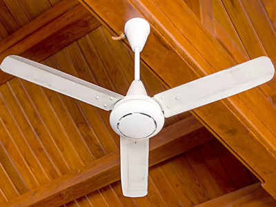Best Fan for Home : क्विक स्टार्ट मोटर वाले हैं ये Ceiling Fan, सालों साल नये पंखे जैसी देंगे तेज हवा