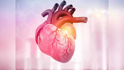 कोविडच्या या लसीमुळे हृदयाला सूज येण्याचा धोका अधिक, CDC ने सांगितलं कोणत्या व्हॅक्सिनने कमी होतो त्रास
