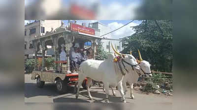 संत ज्ञानेश्वर महाराजांच्या पालखी सोहळ्यासाठी रथ झाला तयार; बैलजोडी जुंपून घेतली ६ किमीची चाचणी