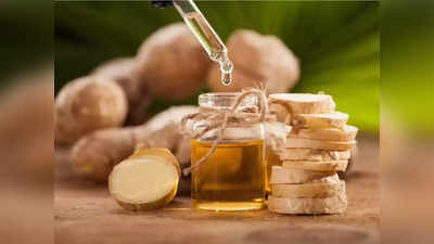 ginger oil: இஞ்சி எண்ணெயில் மருத்துவ குணங்கள் என்னென்ன... என்னென்ன பிரச்சினைக்கு பயன்படுத்தலாம்