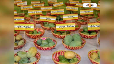 শুরু দিল্লির Mango Festival, আকর্ষণের কেন্দ্রবিন্দুতে Malda-র গর্ব!