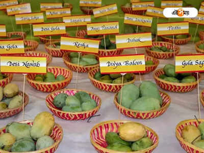 শুরু দিল্লির Mango Festival, আকর্ষণের কেন্দ্রবিন্দুতে Malda-র গর্ব!
