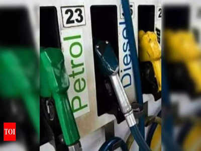 Petrol Price Today: పెట్రోల్ @ 233.. లీటరుకు 24 పెంపు.. ఎక్కడంటే..