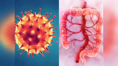 COVID 4th wave symptoms: भयंकर हुआ कोरोना! एक साथ करीब 13 हजार लोग बीमार, चौथी लहर में दिख रहे ये 6 गंभीर लक्षण