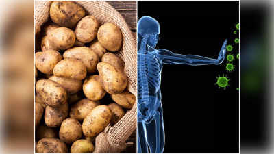 Benefits of Potatoes: ইমিউনিটি থেকে হাড়ের স্বাস্থ্য ভালো রাখে আলু! জানুন আরও কিছু উপকার...