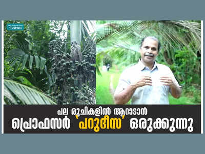 പല രുചികളിൽ ആറാടാൻ പ്രൊഫസർ പറുദീസ ഒരുക്കുന്നു, ഇവിടെ എല്ലാത്തിനുമുണ്ട് ഓരോ പ്രത്യേകതകൾ, വീഡിയോ കാണാം