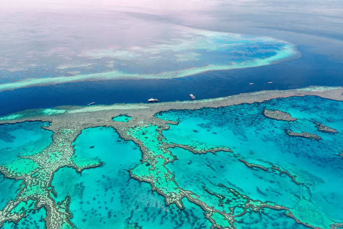 ఇది గ్రేట్ బారియర్ రీఫ్ (Great Barrier Reef). భూమిపై అతి పెద్ద పగడపు దిబ్బలు (coral reef) ఇవే