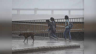 Weather Alert : मान्सून पुन्हा होणार सक्रीय, पुढच्या ५ दिवसांसाठी मुंबईसह या जिल्ह्यांना इशारा