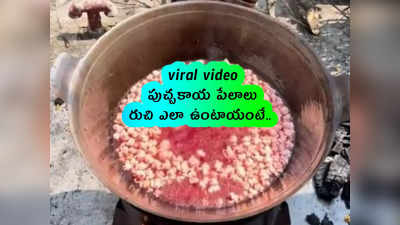 viral video: పుచ్చకాయ పేలాలు.. రుచి ఎలా ఉంటాయంటే.. 