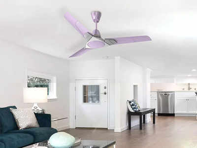 कमरे को सुंदर बनाने के साथ ही जबरदस्त हवा देंगे ये Ceiling Fan, कई विकल्प हैं उपलब्ध