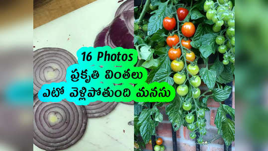 16 Pics: ప్రకృతి వింతలు.. ఎటో వెళ్లిపోతుంది మనసు 