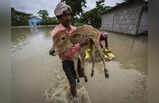 Assam Flood: चारों ओर तबाही का मंजर, पानी में डूबे आशियाने... 55 की मौत, 410 बेजुबान भी बहे, देखें असम बाढ़ की तस्वीरें