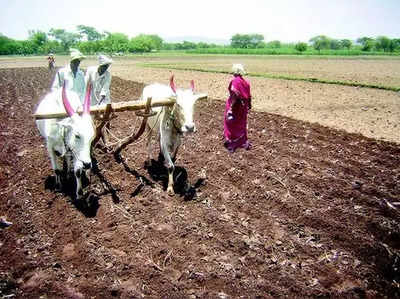 ಮುಂಗಾರು ಆರಂಭ: ಕೊಡಗು ಜಿಲ್ಲೆಯಲ್ಲಿ ಗರಿಗೆದರಿದ ಕೃಷಿ ಚಟುವಟಿಕೆ