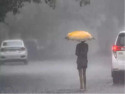 MP Today Monsoon Report : बादलों का डेरा, बारिश... भोपाल में कब दस्तक देगा मानसून?