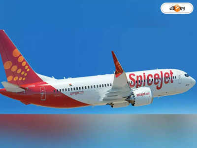 Flight Catches Fire: মাঝ আকাশে দিল্লিগামী যাত্রীবোঝাই বিমানে আগুন!