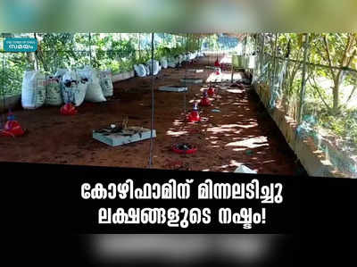 കോഴിഫാമിന് മിന്നലടിച്ചു; ലക്ഷങ്ങളുടെ നഷ്ടം