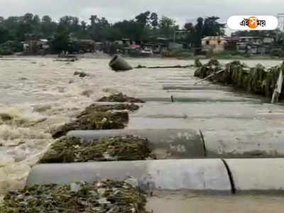 Siliguri: প্রবল বৃষ্টিতে জলের তলায় বালাসন নদীর অস্থায়ী সেতুও! তীব্র যানজটের আশঙ্কা