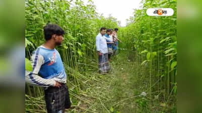 ২ দিন পর উদ্ধার নিখোঁজ TMC কর্মীর ক্ষতবিক্ষত দেহ, চাঞ্চল্য তপনে