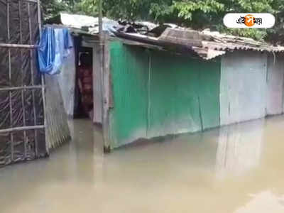 Rain in North Bengal: তোর্সার ভাঙনে জলের তলায় ১৫টি বাড়ি! উত্তরবঙ্গে আরও বাড়বে বৃষ্টি?