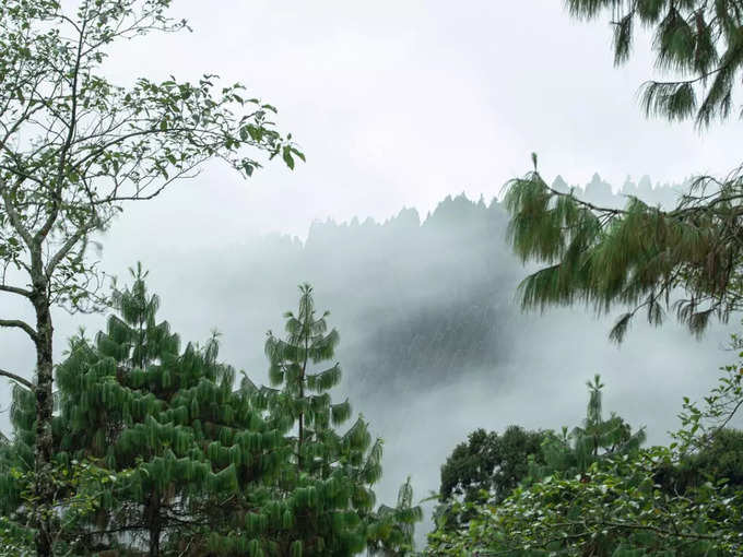 ​ಬೆಟ್ಟಗಳ ರಾಣಿ: ಡಾರ್ಜಿಲಿಂಗ್‌