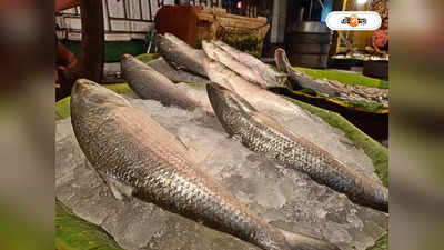 Hilsa Fish Price: কলকাতার বাজারে ঢুকল মরশুমের প্রথম ইলিশ, দাম কত? জানুন