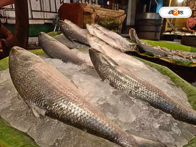 Hilsa Fish Price: কলকাতার বাজারে ঢুকল মরশুমের প্রথম ইলিশ, দাম কত? জানুন