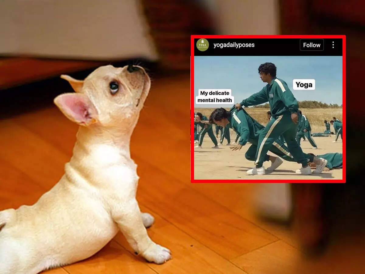Yoga day funny photos, अंतरराष्ट्रीय योग दिवस पर वायरल हुए ये Funny memes!  यूजर्स बोले- योगा से ही होगा... - international yoga day funny memes viral  on social media - Navbharat Times