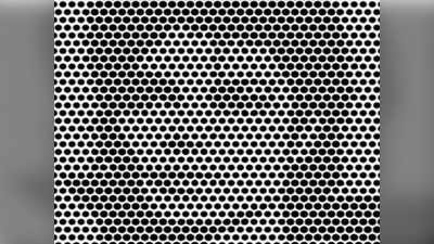 Optical illusion: इस फोटो में छुपी हुई है एक महान शख्सियत, देखते हैं आप देख पाते हैं या नहीं!