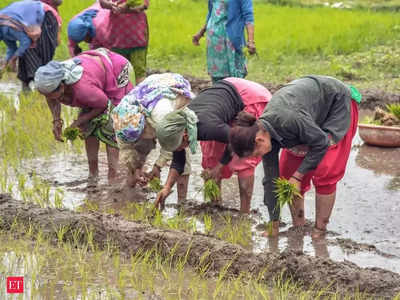 PM Kisan Scheme: ఈ రైతులందరూ డబ్బులు వెనక్కి ఇచ్చేయాలి.. లిస్ట్‌లో మీ పేరు ఉందో లేదో చెక్ చేసుకోండిలా!