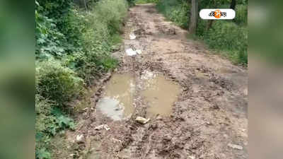 Purulia: বেহাল রাস্তা, ঢুকতে পারে না অ্যাম্বুল্যান্স! ক্ষোভে ফুঁসছে পুরুলিয়াবাসী