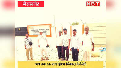 Jaisalmer News : राज्य पशु चिंकारा खतरे में, सोलर कंपनी के कर्मचारियों पर शक गहराया