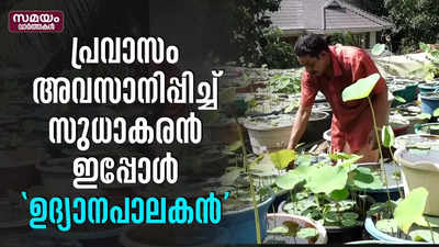 പ്രവാസം അവസാനിപ്പിച്ച് സുധാകരൻ; ഇപ്പോൾ ഉദ്യാനപാലകൻ