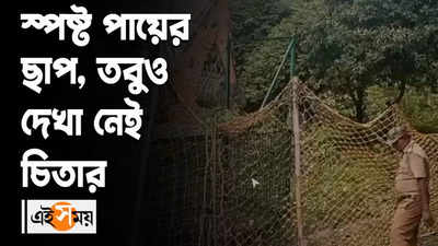 স্পষ্ট পায়ের ছাপ, তবুও দেখা নেই চিতার