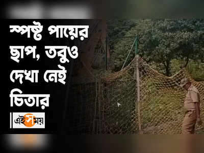 স্পষ্ট পায়ের ছাপ, তবুও দেখা নেই চিতার