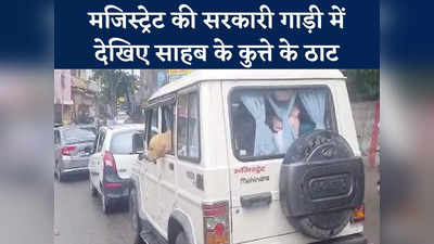 Uttarakhand News: मजिस्ट्रेट की सरकारी गाड़ी में देखिए साहब के कुत्ते के ठाट