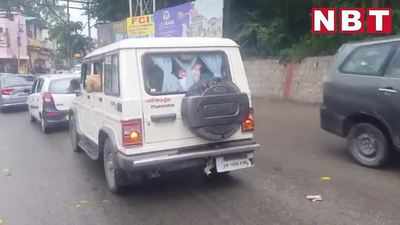 Uttarakhand News: मजिस्ट्रेट की सरकारी गाड़ी में देखिए साहब के कुत्ते के ठाट