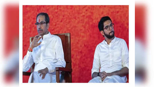 Aaditya Thackeray: खेळ खल्लास, आदित्य ठाकरेंनी ट्विटरवरुन मंत्रिपदाचा उल्लेख हटवला!