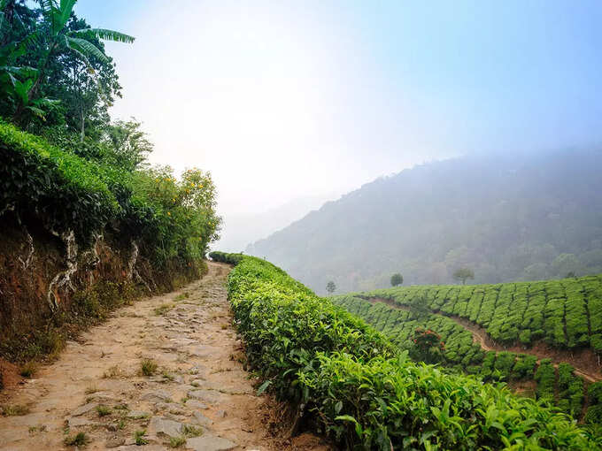 नाहन, हिमाचल प्रदेश - Nahan, Himachal Pradesh