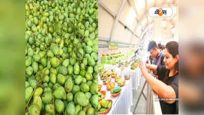 Mango Festival in Kolkata: সুখবর! তিলোত্তমায় শুরু হচ্ছে আম উৎসব, জেনে নিন দিনক্ষণ