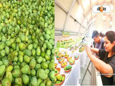 Mango Festival in Kolkata: সুখবর! তিলোত্তমায় শুরু হচ্ছে আম উৎসব, জেনে নিন দিনক্ষণ