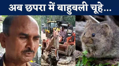Chapra Latest News : छपरा में नाला हुआ जाम तो अफसरों ने चूहों पर मढ़ा दोष, देखिए क्या कहा